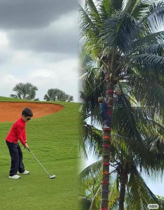 Bet365体育平台-她果然没离，毕竟400亿资产的男人也不多啊！